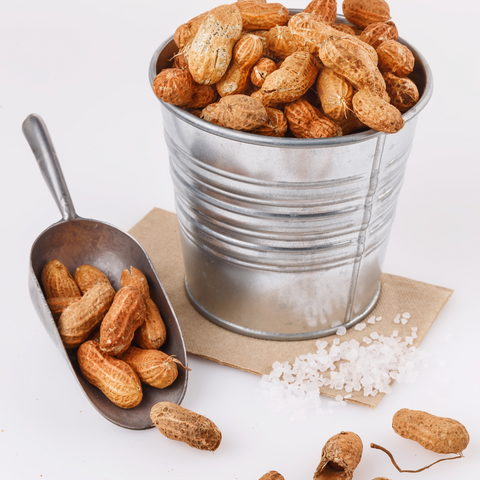 Erdnüsse in Schale  Premium Qualität Geröstet
