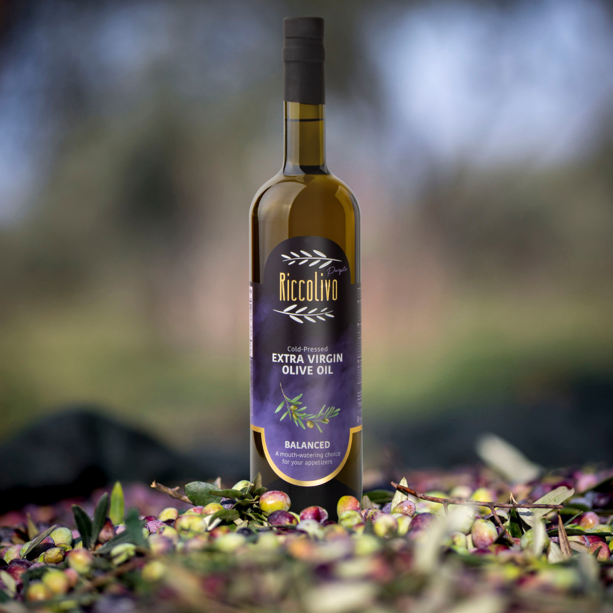 Riccolivo Natives Olivenöl Extra Virgin 750 ml